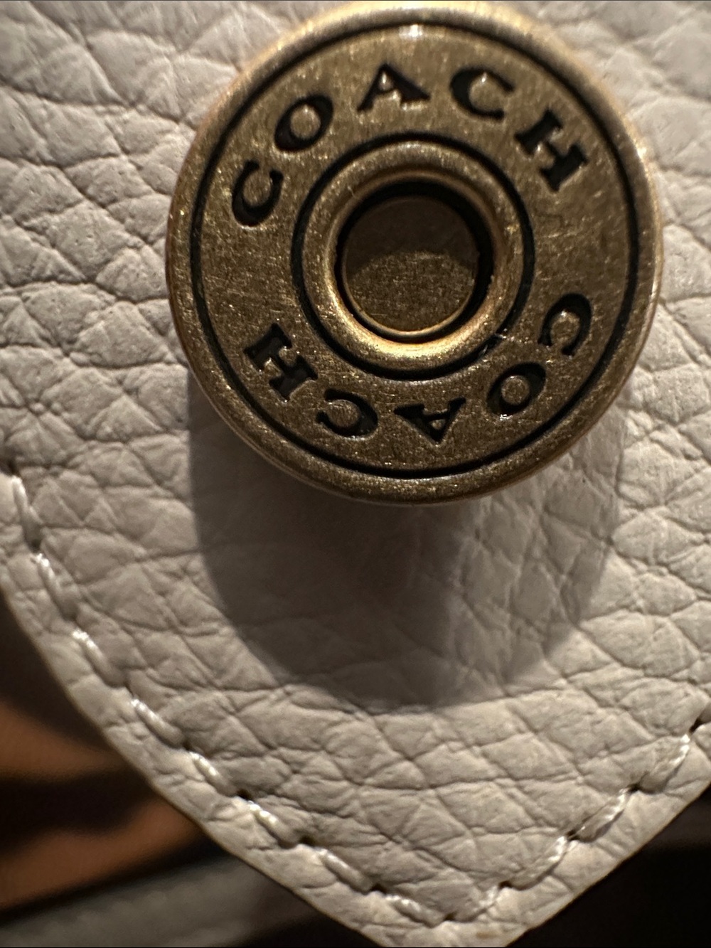 Coach Day Tote Bag - Picture 6 of 10